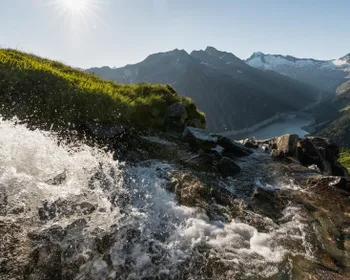 Ein Bach fließt rauschend einen Berg hinunter.