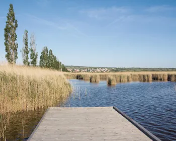 Ein Steg reicht in einen See mit Schilf hinein