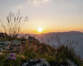 Nahaufnahme von Steinen und Gräsern am Berg. Dahinter ist der Sonnenuntergang zu sehen.