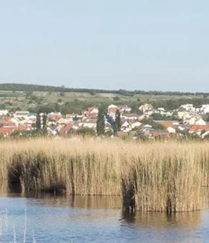 Ein Steg reicht in einen See mit Schilf hinein