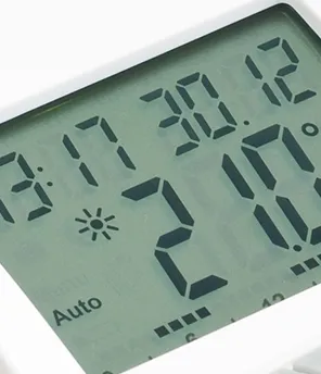 Eine Temperaturanzeige von 21 Grad neben einer Pflanze