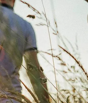 Ein Mann und ein Kind gehen bei tiefstehender Sonne auf einer Wiese mit hohem Gras.