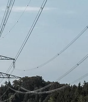 Strommasten und Stromleitungen auf einer grünen Wiesen neben einem Wald.