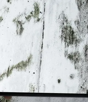 Mann steht mit Tablet vor Wand mit Schimmel und fotografiert den Schimmel.